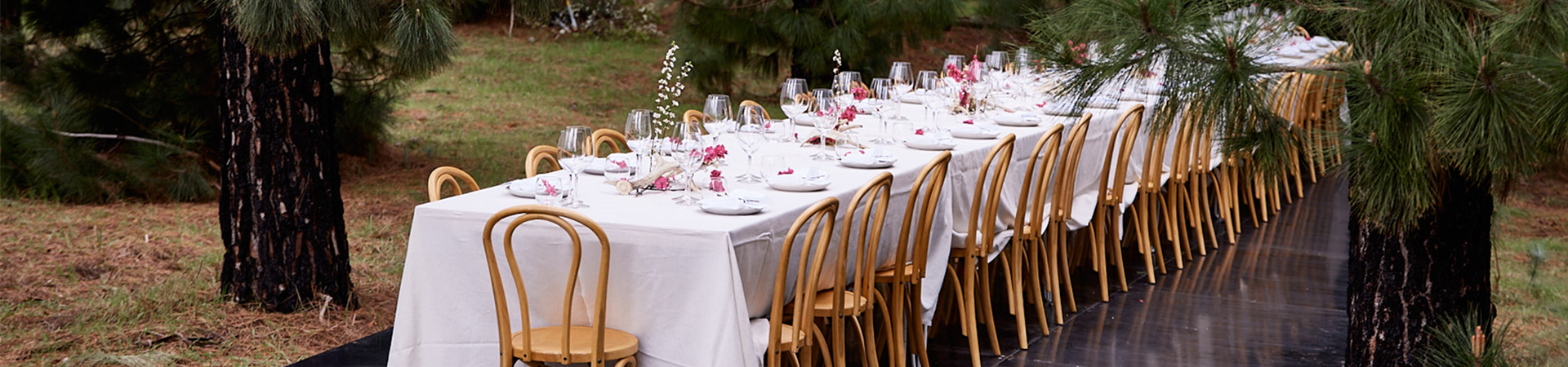 A long table laid with white tablecloths, set with timber chairs, white crockery and pink flowers, surrounded by pine trees